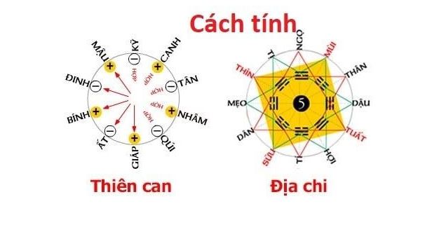 Chọn Ngày Giờ Tốt Theo Can Chi: Hướng Dẫn Chi Tiết 2025 4 Ứng dụng chọn ngày giờ tốt theo can chi trong các lĩnh vực đời sống