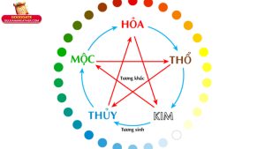 Ngu Hanh 1