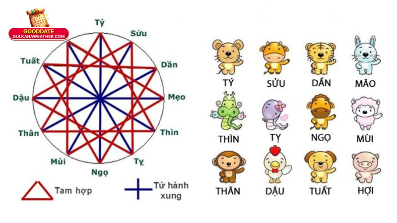 Tam hợp là gì? Khái niệm, nguồn gốc & lý giải theo tử vi