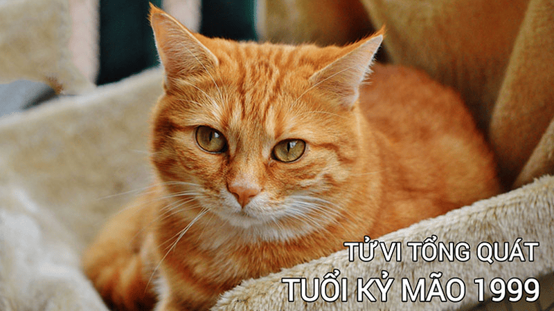 Ngày Giời Đẹp Tuổi Kỷ Mão: Chọn Ngày Tốt Nhất Cho Công Việc 3 Các yếu tố ảnh hưởng tới việc chọn ngày giời đẹp tuổi Kỷ Mão