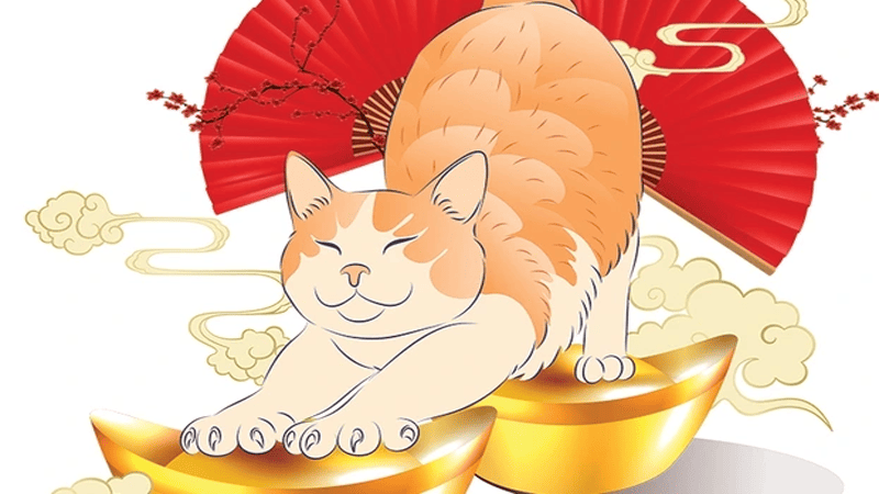 Ngày Mão: Giải Mã Ý Nghĩa, Ứng Dụng, Chọn Ngày Tốt 96 Ngày Mão là gì?