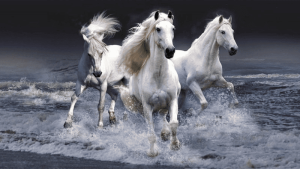 Ngày Ngọ là gì? 