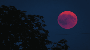 Những Việc Kiêng Kỵ Không Nên Làm Vào Ngày Nguyệt Kỵ