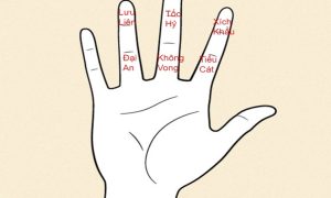 Ngày Tốt xấu theo Tứ Trụ (Thiên Can - Địa Chi) là gì, quan trọng ra sao?